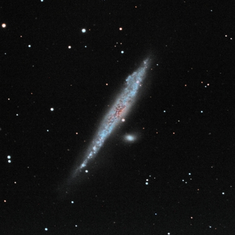 NGC4631