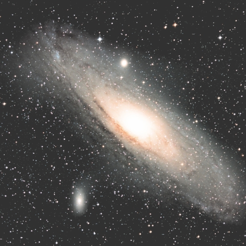 M31