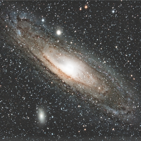 M31