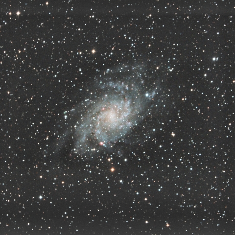 M33