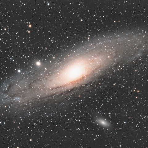M31