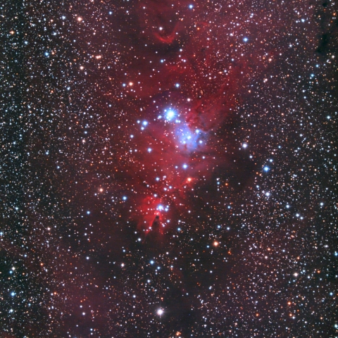 クリスマスツリー星団