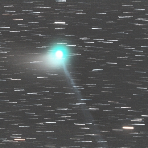 1/11のカタリナ彗星