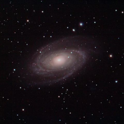 M81