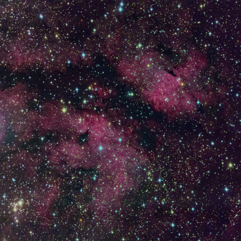 IC1318