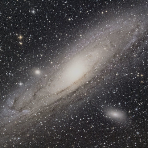 M31