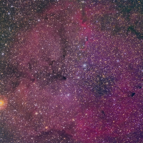 IC1396とガーネットスター