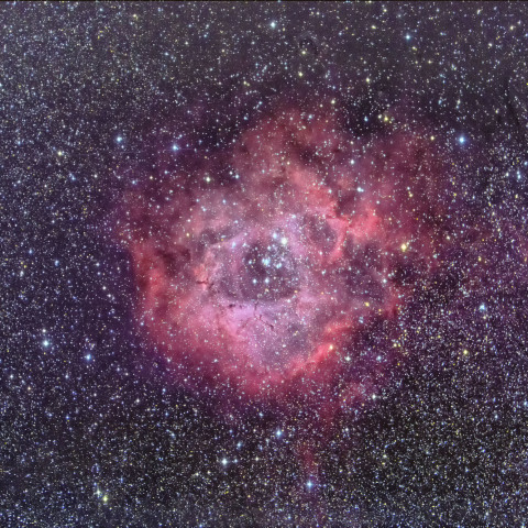 NGC2237