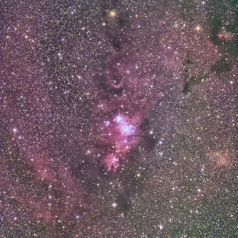 NGC2264