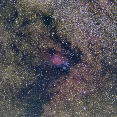 IC1284 バンビの首飾り