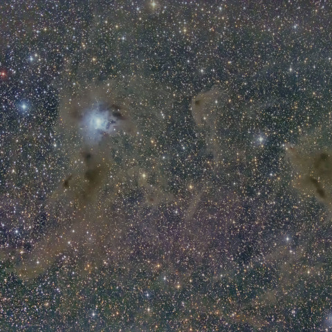 アイリス星雲と分子雲