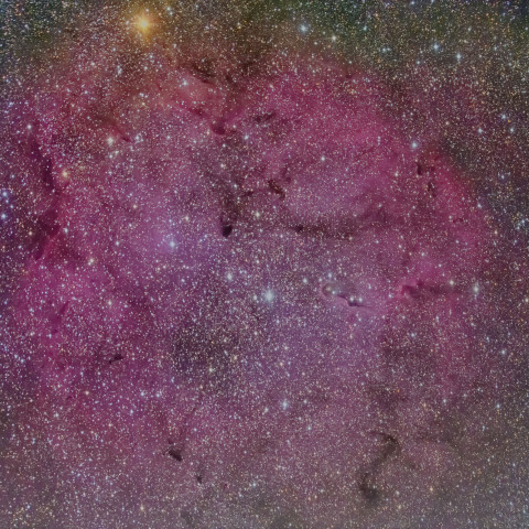 IC1396