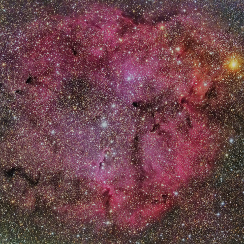 IC1396