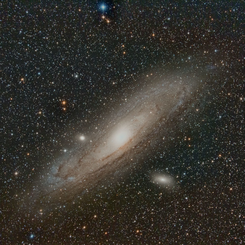 M31
