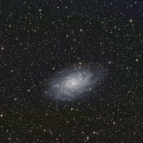 M33