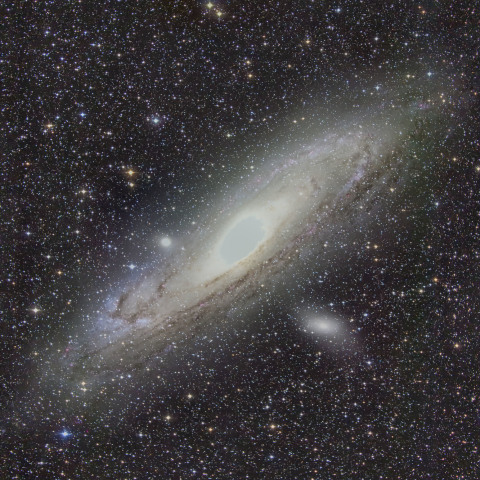 M31