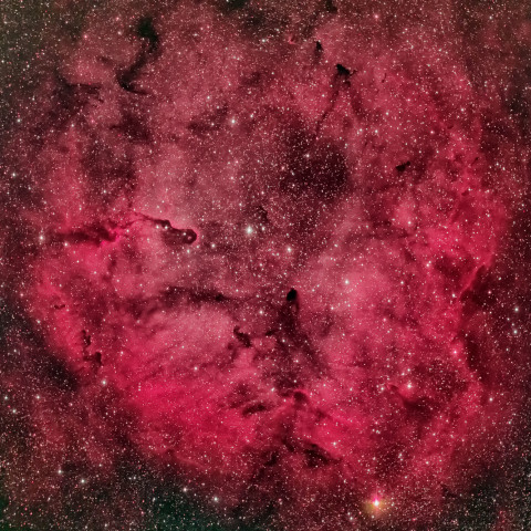 IC1396