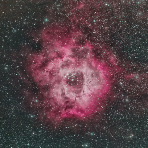 NGC2237
