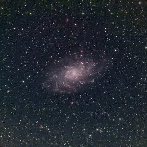 M33