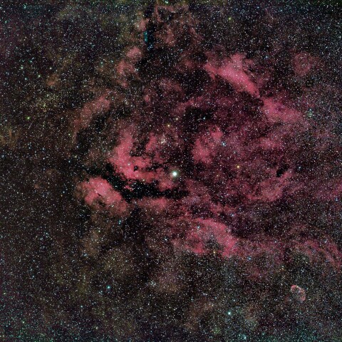 はくちょう座ガンマ星付近