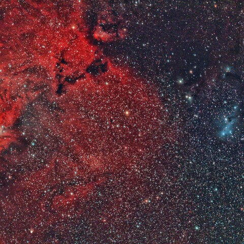 コーン星雲とカタツムリ星雲