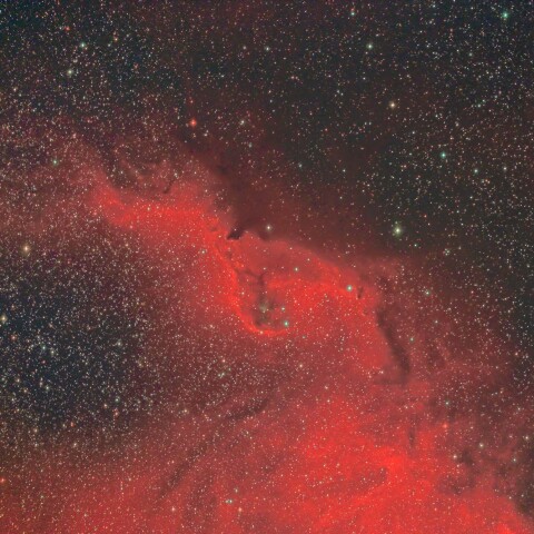 エンジェルフィッシュ星雲の背びれ