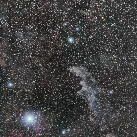 IC2118～NGC1788