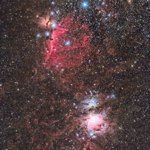 オリオン座中心部