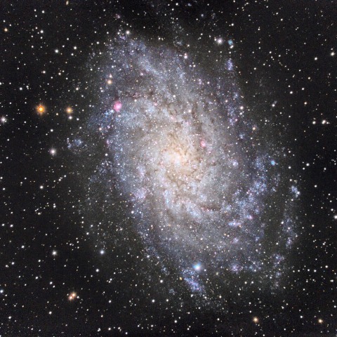 M33