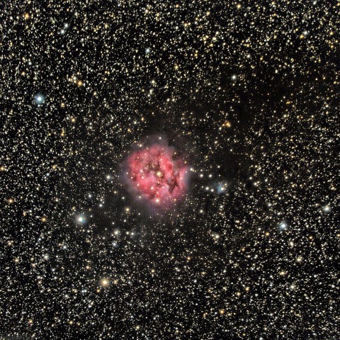 IC5146