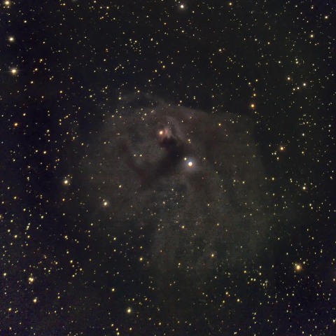 NGC1555