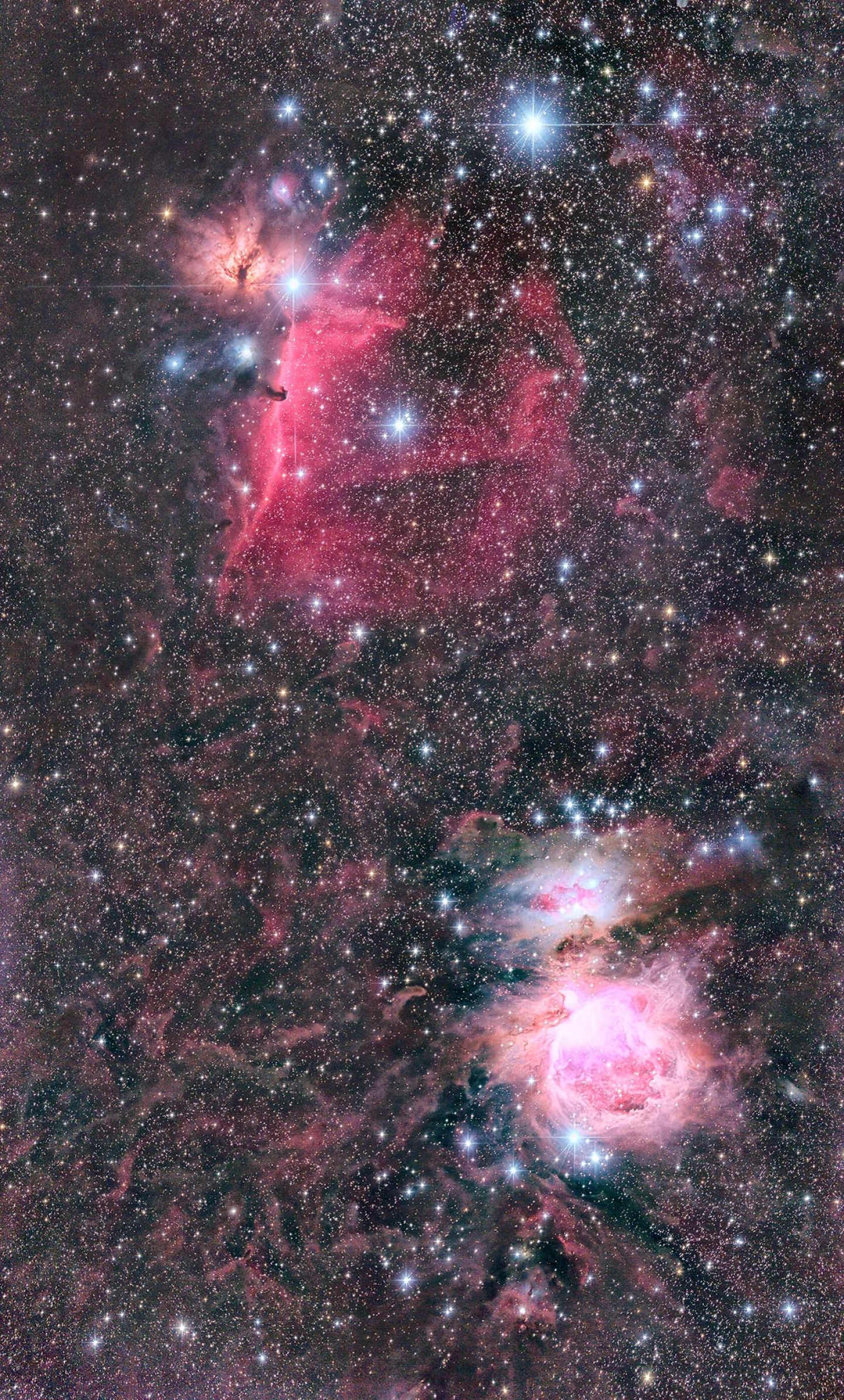オリオン大星雲と馬頭星雲 By Ichiro Itagaki 天体写真ギャラリー