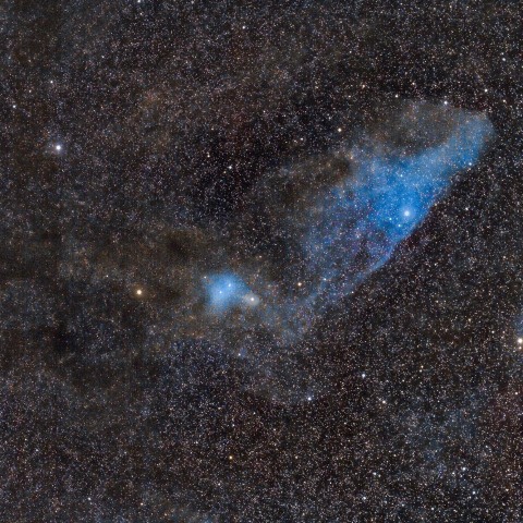 IC4592