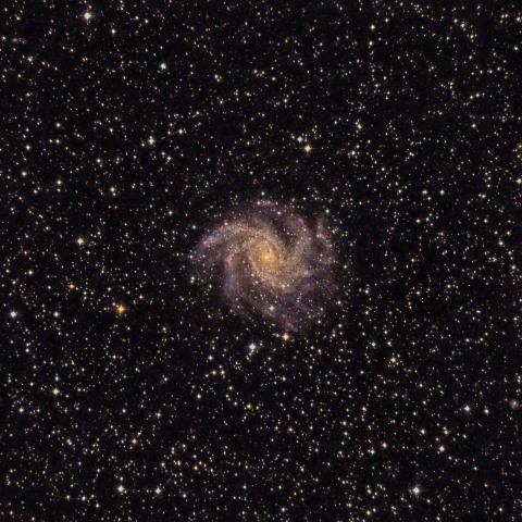 NGC6946