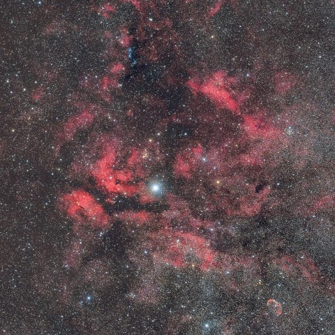 はくちょう座ガンマ星付近