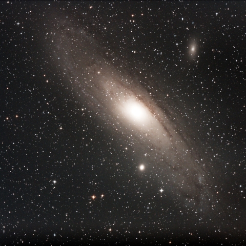 M31