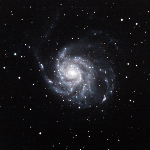 M101