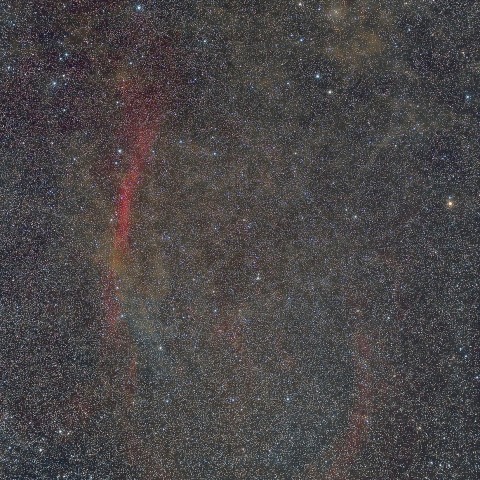 エリダヌスループ