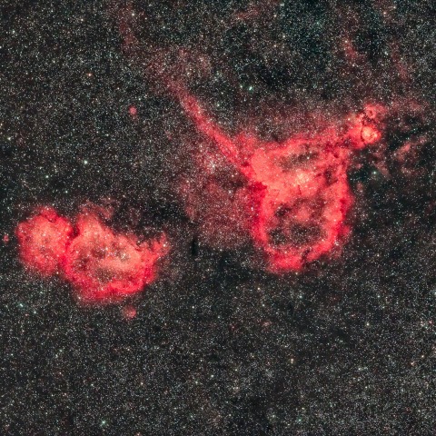 IC1805 & IC1848