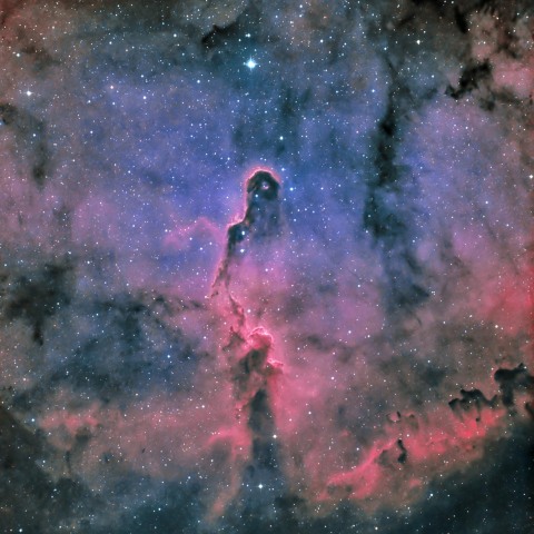 IC1396 象の鼻