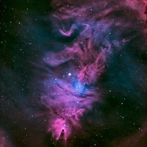 NGC2264