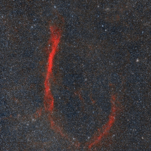 エリダヌスループ