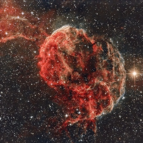 IC443