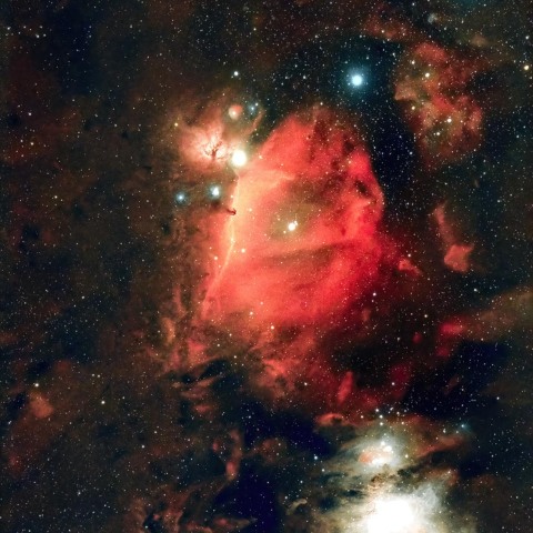 オリオン座中心部