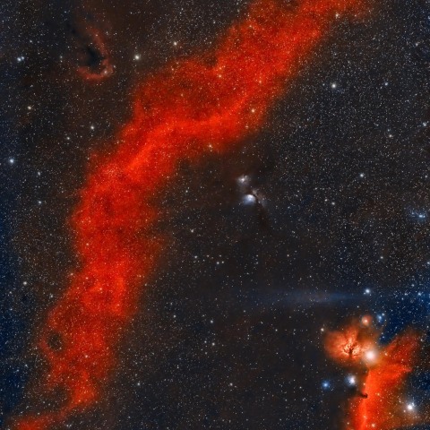 LDN1622、M78、IC434