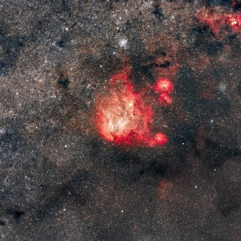 IC2944