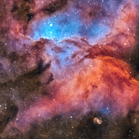 Fighting Dragons of Ara