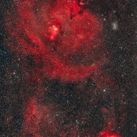 NGC2237、NGC2264、NGC2169