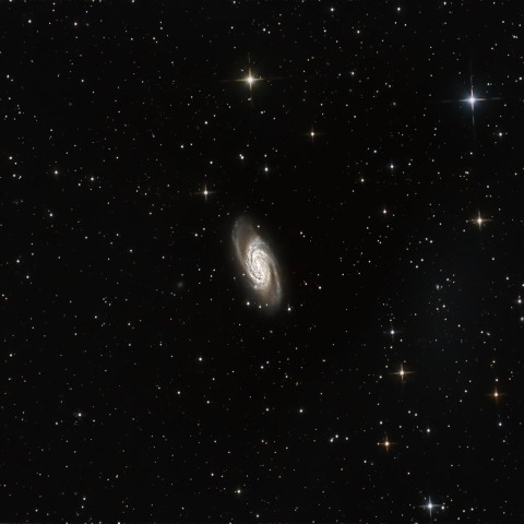 NGC2903