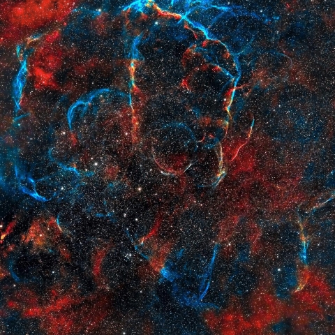 Vela Supernova Remnant